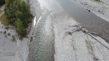 Chilliwack Nehri 'nin sonbahar ormanlarıyla dolu somonlar sırasında hava keşfi.
