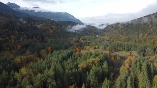 Drone Utsikt Över Chilliwack Floden Omgiven Livlig Skog Och Berg — Stockvideo
