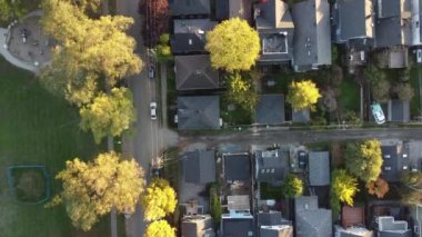 Sonbahar Aşk Notları: Sonbaharda Vancouver 'ın çatılarında havadan serenat