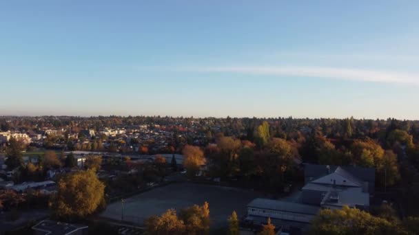 Rooftop Reverie Fesselnde Erkundung Des Kanadischen Herbstcharmes Aus Der Luft — Stockvideo