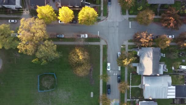 Aerial Escape Perspektywy Lotnicze Vancouver Oszałamiające Krajobrazy Dachu Klip Wideo