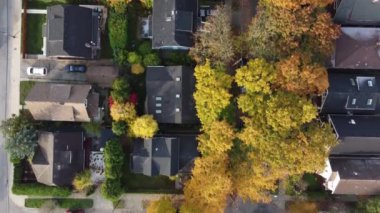 Çatı Rüyaları: Drone 'un yukarıdan resmedilen aşk tuvaline bakış açısı