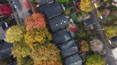 Vancouver: Nefes kesici İHA görüntüleri çatıdaki sevgi dolu anları yakalıyor