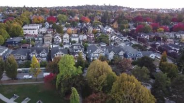 Kentsel Tepe: Sonbaharda insansız hava aracının komşu çatılara bakış açısı