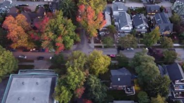 Çatı Panoraması: Sonbaharda Vancouver 'ın çarpıcı çatılarının hava perspektifleri