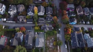 Urban Oasis: Sonbaharda sakin kent mahallesinin büyüleyici manzarası