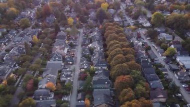 Renkli Ufuklar: Vancouver 'ın sonbahar cazibesinin nefes kesici insansız hava aracı keşfi
