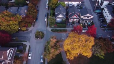 Vancouver Heights: canlı komşuluk çatılarının havadan görüntüsü