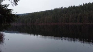 Bulutlu bir günde yeşil dağlarla çevrili sessiz bir gölün üzerinde uçuyor.