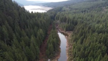 Yumuşak bulutlar, yemyeşil bir gölün üzerinde süzülüyor.