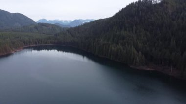 Bir gölün üzerinde huzur içinde süzülüyorlar ve yumuşak bulutların altında yeşil manzaralar.