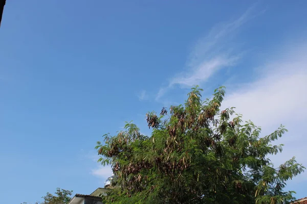 青い空の上からの眺め — ストック写真