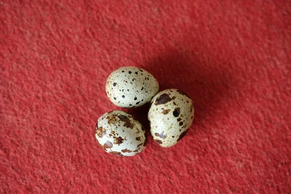 赤を背景にしたウズラの卵の写真 — ストック写真
