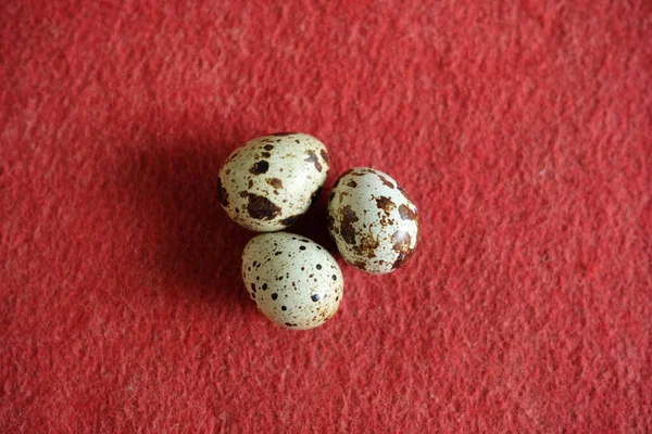 Quail Egg Photo Red Background — Stock Photo, Image