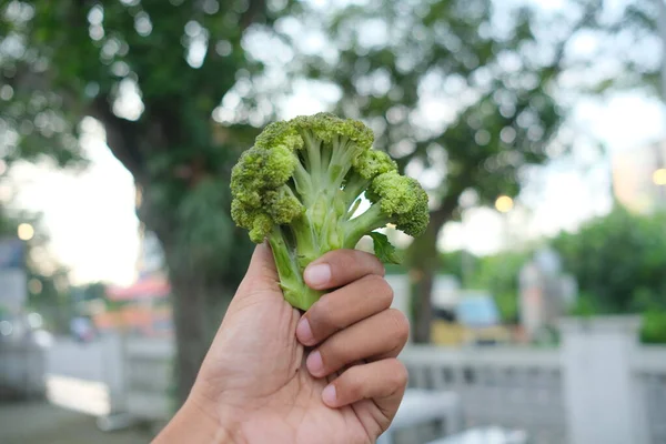 Foto Broccoli Freschi Vegetali Con Sfondo Isolato — Foto Stock