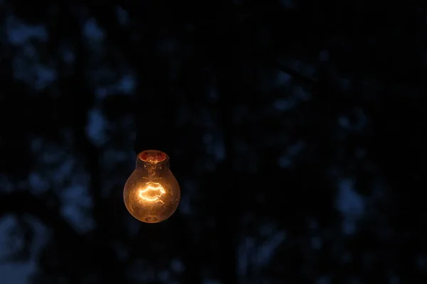 Photo Yellow Light Bulb Glowing Night — Stock Photo, Image