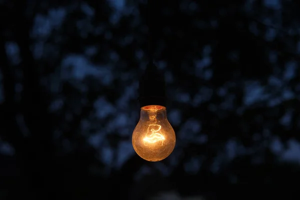 stock image photo of yellow light bulb glowing at night