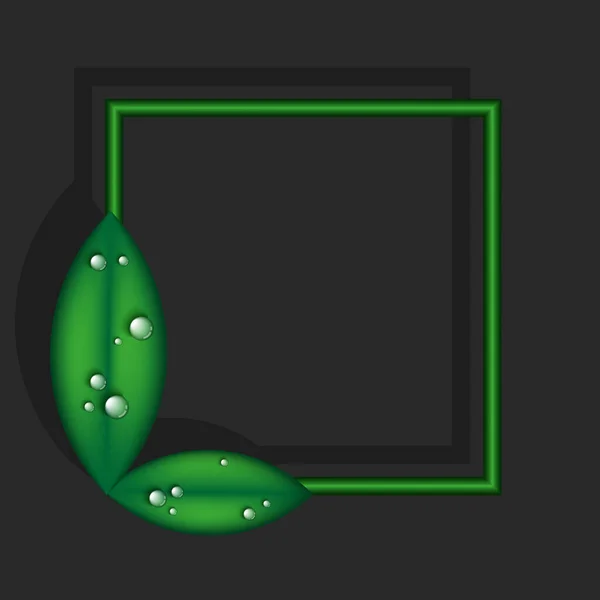 Deux Feuilles Vertes Des Gouttes Rosée Réalistes Avec Des Ombres — Image vectorielle