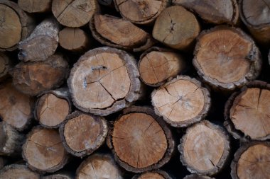 Classice Firewood for background in natural background