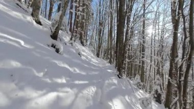 Dağlardaki orman yolunda kış güneşli bir gün. POV