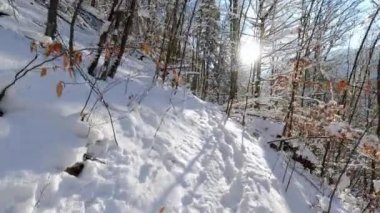 Dağlardaki orman yolunda kışın yürüyüş yapan ilk kişi. POV