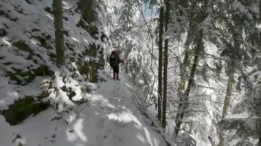 Sırt çantalı bir adam dağlardaki bir kış ormanında yol boyunca yürür..