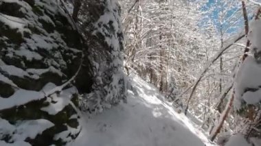 Dağlardaki orman yolunda kışın yürüyüş yapan ilk kişi. POV