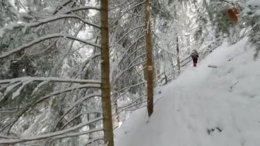 Sırt çantalı bir adam, dağlardaki bir kış ormanının telefonuyla fotoğraf çekiyor.. 