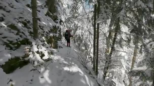 Ένας Άντρας Σακίδιο Περπατά Κατά Μήκος Ενός Μονοπατιού Ένα Χειμερινό — Αρχείο Βίντεο