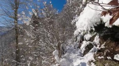 Kış dağı manzarası güneşli karlı bir gün. Döndürme