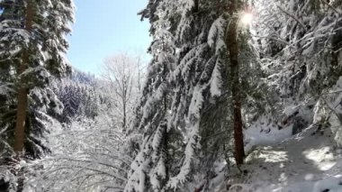 Güneşli bir kış gününde dağ manzarası. Pan