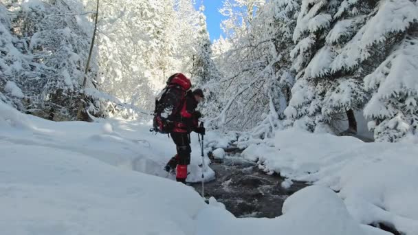 Grupa Turystów Przecina Strumień Zimowym Lesie — Wideo stockowe