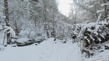 Sırt çantalı ve kar ayakkabılı iki adam kış yürüyüşünde yolda yürüyor.. 