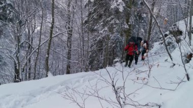 Sırt çantalı ve kar ayakkabılı yürüyüşçüler kış yürüyüşünde yolda yürürler.. 