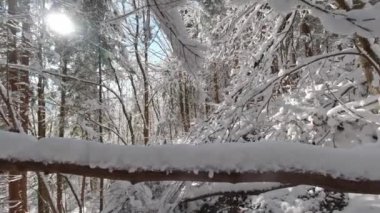 Sırt çantalı bir adam kış yürüyüşünde önündeki bir engelin üstesinden gelir.. 