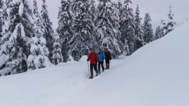 Sırt çantalı ve kar ayakkabılı yürüyüşçüler kış yürüyüşünde yolda yürürler.. 