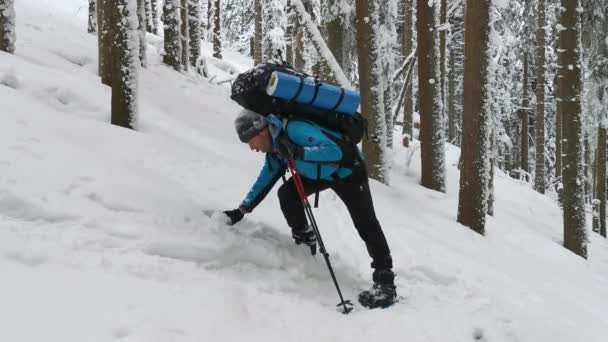 Man Met Rugzak Eet Sneeuw Tijdens Een Winterwandeling — Stockvideo