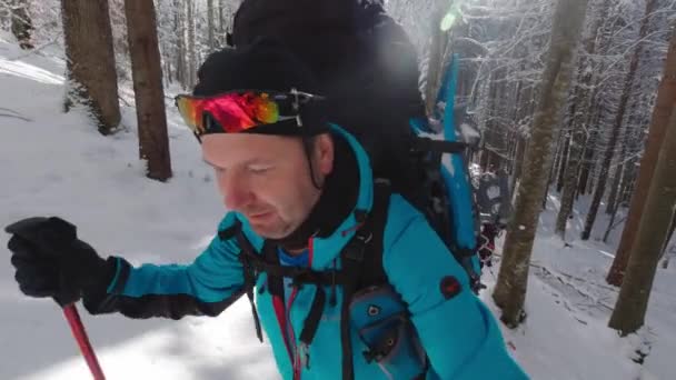 Caminhante Faz Selfies Durante Uma Caminhada Inverno — Vídeo de Stock