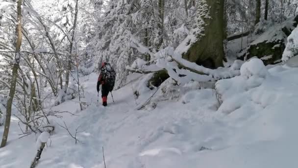 バックパックとスノーシューズを持つ男は冬のハイキングでトレイルを歩く — ストック動画