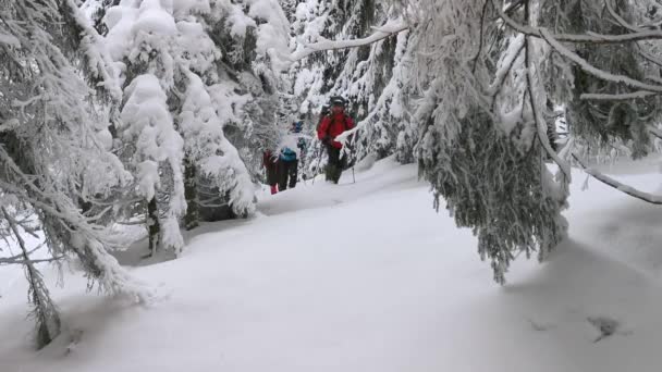 Τρεις Άντρες Σακίδια Και Χιονοπέδιλα Περπατούν Στο Μονοπάτι Μια Χειμερινή — Αρχείο Βίντεο