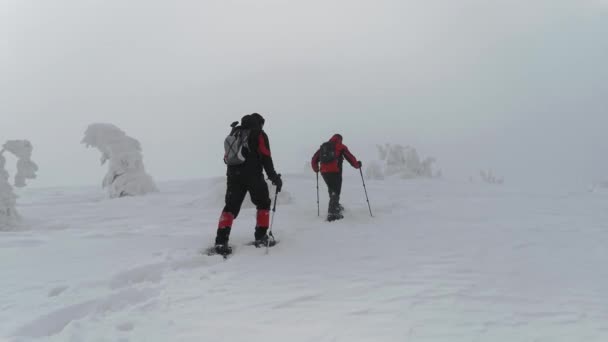 Dois Homens Estão Subindo Uma Encosta Uma Caminhada Inverno — Vídeo de Stock