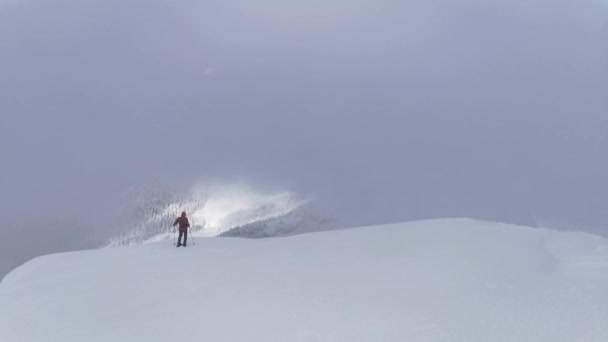 Dwóch Wędrowców Zstępuje Góry Teren Lasu Podczas Zimowej Wędrówki — Wideo stockowe