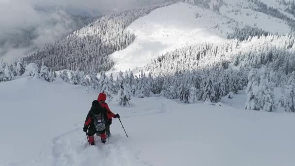 徒步旅行者从山上爬升到林区过冬 — 图库视频影像