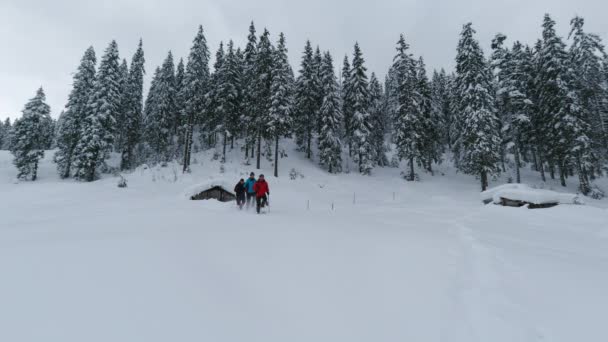 Três Caminhantes Andando Rapidamente Sapatos Neve Neve — Vídeo de Stock