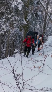 Sırt çantalı ve kar ayakkabılı yürüyüşçüler kış yürüyüşünde yolda yürürler.. 