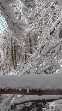 Sırt çantalı bir adam kış yürüyüşünde önündeki bir engelin üstesinden gelir.. 