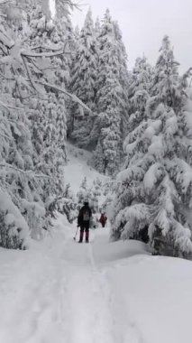 Sırt çantalı ve kar ayakkabılı iki adam kış yürüyüşünde yolda yürüyor.. 