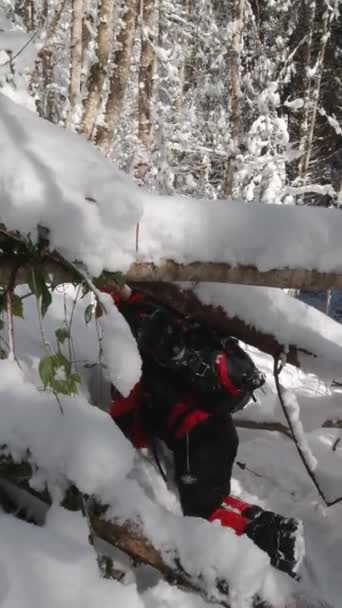 Sırt Çantalı Bir Adam Kış Yürüyüşünde Önündeki Bir Engelin Üstesinden — Stok video