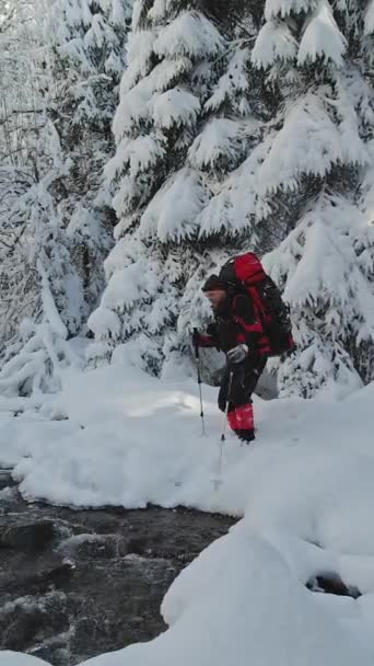 冬の森の中の小川を横断するハイカー — ストック動画