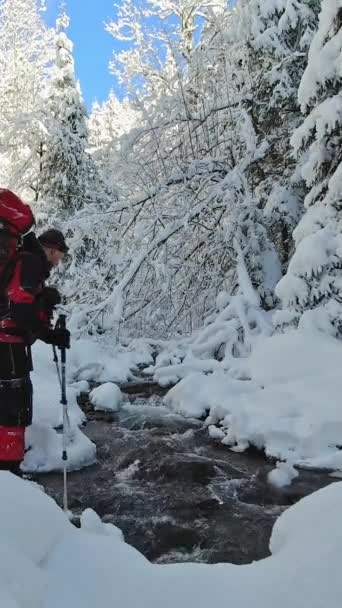 Μια Ομάδα Τουριστών Διασχίζει Ένα Ρυάκι Ένα Χειμερινό Δάσος — Αρχείο Βίντεο
